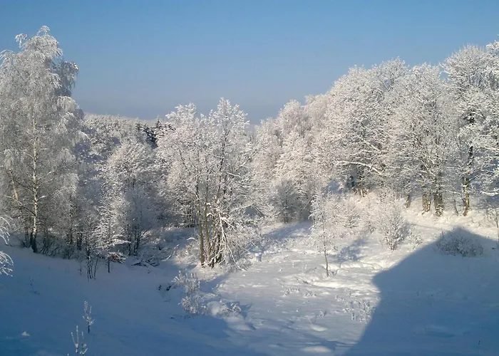 Sielanka * Stronie Slaskie